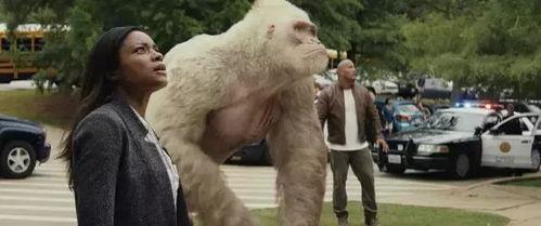 狂暴巨兽演员表,众星云集，演绎惊心动魄的怪兽之战