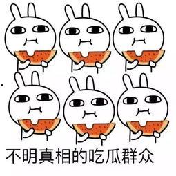 吃瓜百度贴吧官网,网络热议的聚集地  第3张