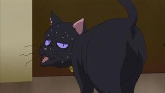 黑猫背影图片  第2张