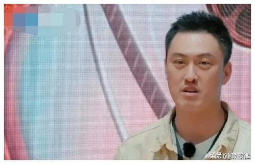 我在娱乐圈吃瓜爆红最新,揭秘幕后爆红背后的故事  第3张