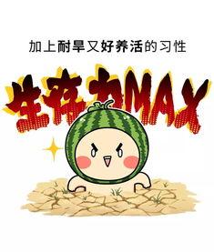 娱乐吃瓜酱中华文化,解码中华文化中的趣味与智慧  第1张